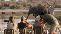 Full-Day Chobe Trip Botswana