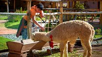 2 Days in Sacred Valley of the Incas Pisac, Museum, Moray, Maras and Ollantaytambo
