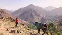 Full Day Trek in Toubkal Imlil Valley and Aremd