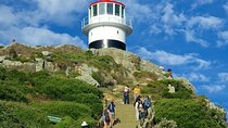  Cape Point Full Day Tour