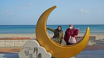 Pohang One day city Tour : Home town Cha cha cha Drama Locations 
