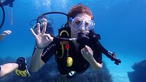 Mallorca: Try Scuba Diving in a Beautiful Nature Reserve