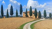 PRIVATE TOUR Savor Exquisite Wines: Brunello & Nobile Wine Tour 
