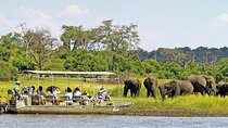 Chobe Day Trip from Livingstone