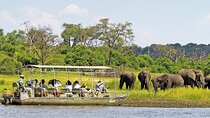 Chobe Day Trip From Victoria Falls