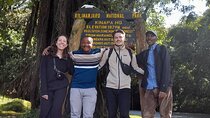 Full-Day Hiking Experience of Kilimanjaro to Mandara Hut