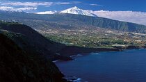 Tenerife Highlights Full Day Tour with Lunch