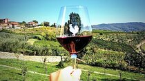 Chianti & Supertuscan Private Tour 2 Wineries with light lunch