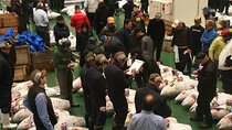 Complete Tuna Auction & Toyosu Fish Market Tour