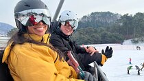 Shuttle Service to Jisan Ski Resort from Seoul