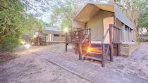 5 Day Kruger Adventure Safari