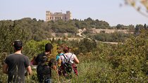 Buskett Woodlands and Dingli Cliffs Nature Walking Private Tour