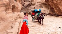 Petra Private Guided Tour From Aqaba