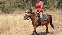 Horse Riding in Marmaris & Icmeler