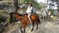 Bodrum Horse Safari