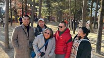 Four Seasons of Nami Island with Garden of Morning Calm Tour