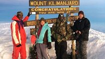 Mountain Kilimanjaro Climbing 7 Days Lemosho Route