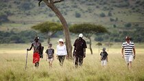 5 Days Camping Safari To Lake Manyara / Tarangire, Serengeti & Ngorongoro.