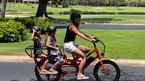 Aloha West Maui 2-Hour Self-Guided Electric Bike Tour