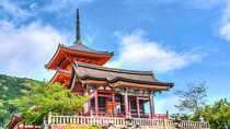 Kyoto Full Day (8 hours) Ultimate Sightseeing Private Tour