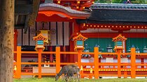 Private Customized 3 Full Days Tour Package: Discover Kyoto, Arashiyama and Nara