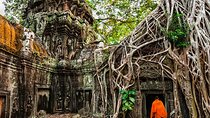 7-Day Private Tour Siem Reap, Ho Chi Minh, Cu Chi Tunnels and Mekong Delta