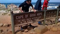 Private Tour: Cape of Good Hope, Cape point and Boulders Beach