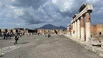 Pompeii and Vesuvius Tour with Lunch Wine Tasting from Positano