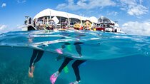 Full-Day Great Barrier Reef Pontoon with Snorkeling & Activities