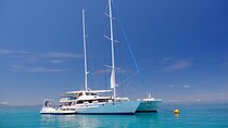 Ocean Spirit Sail to Michaelmas Cay Snorkel or Dive, from Cairns