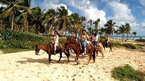 Horseback Riding at Macao Beach