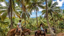 Horseback Riding in the Dominican Jungle