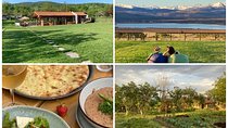 Horse riding at Lake side Near Tbilisi with Lunch at Farm to table restaurant