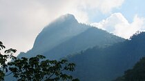 Private 12-hour tour of the Farallones de Cali