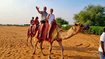 Camel Ride Safari in Red Dunes