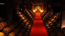 Bairrada Wine Tour