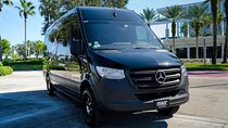 11 Passengers Van Orlando Airport to Port Canaveral One Way