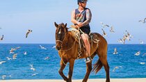 Desert and Beach Horseback Riding Experience in Cabo