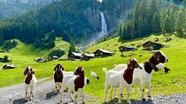 Private tour to the most breathtaking insider spots in Switzerland (1 day)

