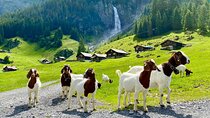 From Zurich: The most beautiful insider spots in Switzerland (private 1-day tour)