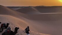 Private 3 days desert tour from fes to Marrakech 