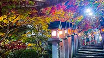 Hidden Gems of Osaka Kyoto Nara - Private Car Tour by Local Guide