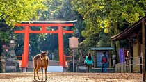 Arashiyama & Nara Highlights: One-Day Private Tour Adventure