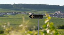 The Must-sees 3h30 from Epernay (Private Half day Champagne Tour)