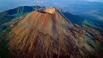 Vesuvius, V.I.P. the only Tour with Volcanological Guide