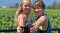 Okanagan Falls Wine Tour Full Day Guided With 5 Wineries