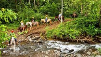 Educational Walk in the Rainforest Waterfall and Horse Ride