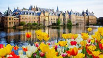 Rotterdam, Hague & Delft Private Tour from Amsterdam by Car