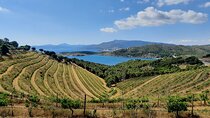 Luxury Wine Tour, Cap de Creus Natural Park - Cadaqués