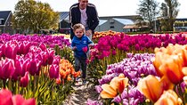 Keukenhof Gardens & Tulip Experience Tour from Amsterdam